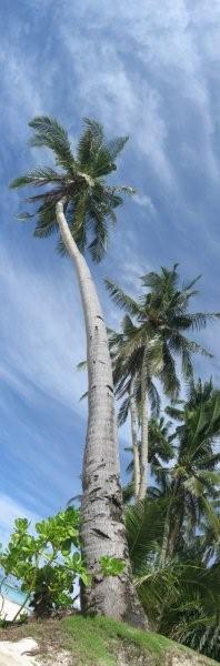 IMG_6047.jpg