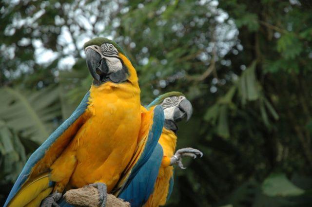 FSC_9917.jpg