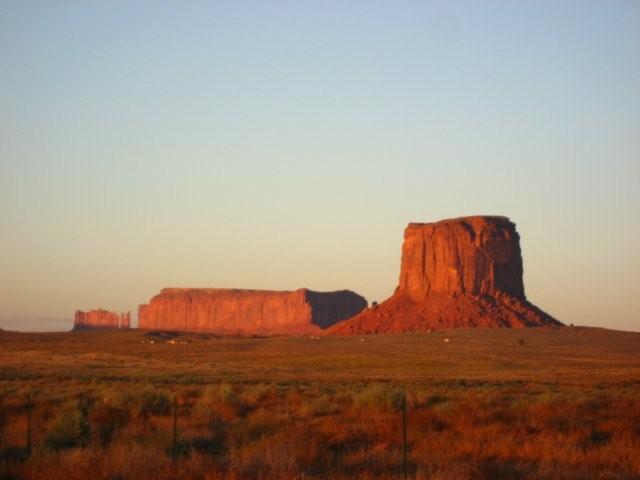 IMG_7946.jpg