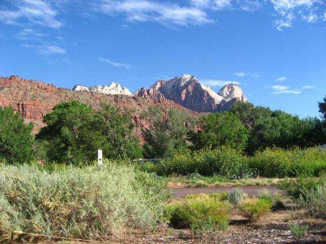 IMG_8542.jpg