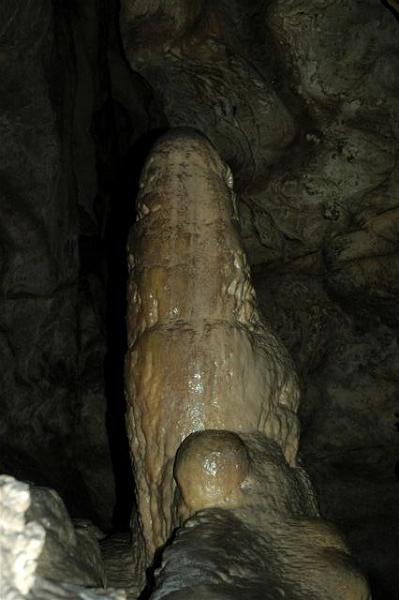 DSC_8532.JPG
