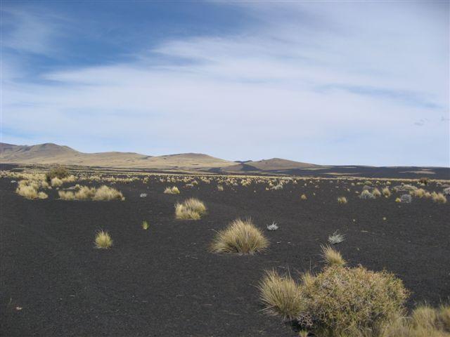 STF_5878.JPG
