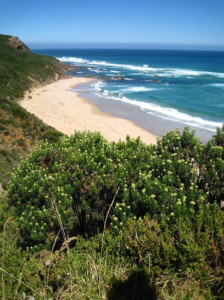 IMG_4629.JPG - The Great Ocean Road