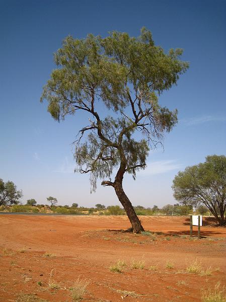 IMG_5839.JPG - På vej mod Uluru