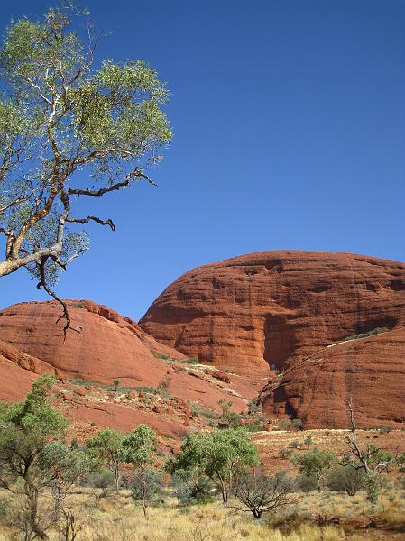 IMG_5900.JPG - Kata Tjuta - The Olgas