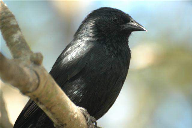 DSC_2074.JPG