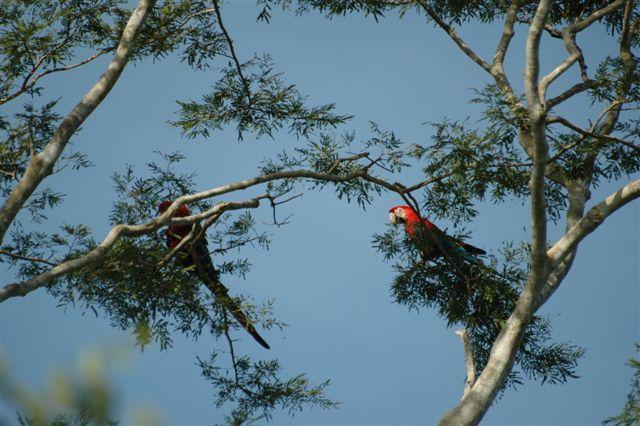 DSC_2168.JPG