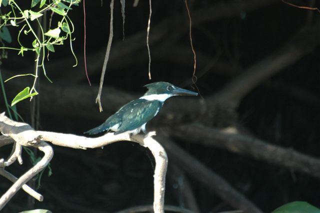 DSC_2360.JPG
