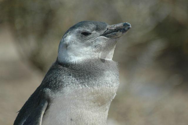 DSC_7870.JPG