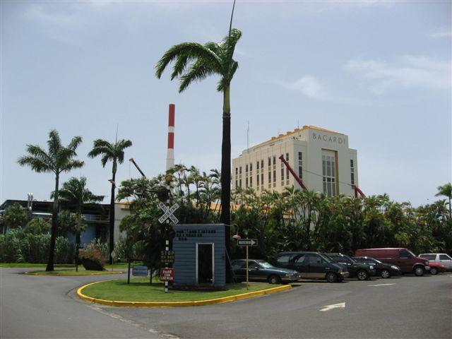 IMG_3396.jpg