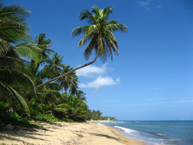 IMG_3467.jpg