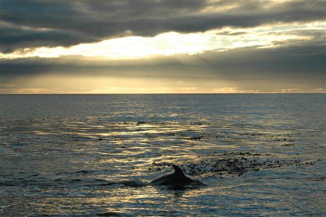 DSC_8141.JPG