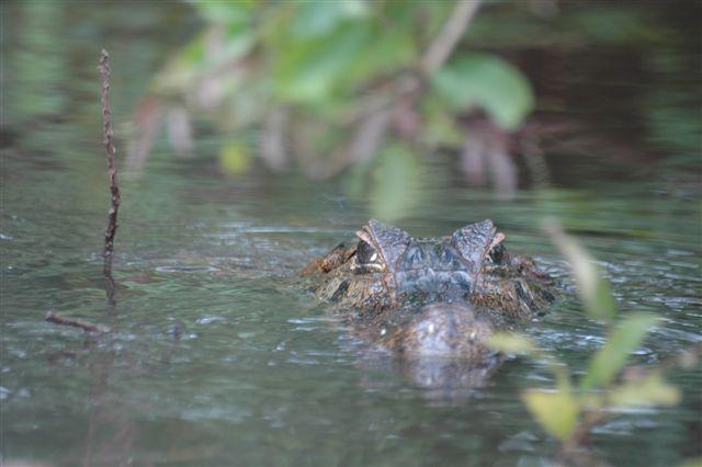 DSC_1540.jpg