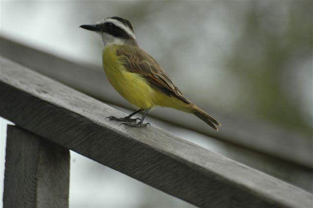 DSC_1544.jpg