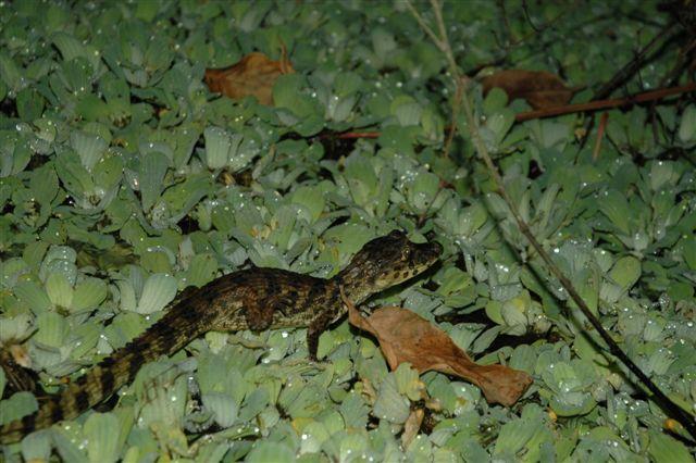 DSC_1665.jpg