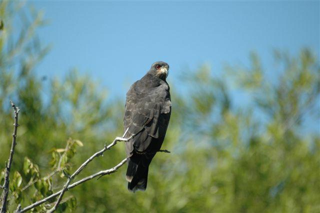 DSC_1759.jpg