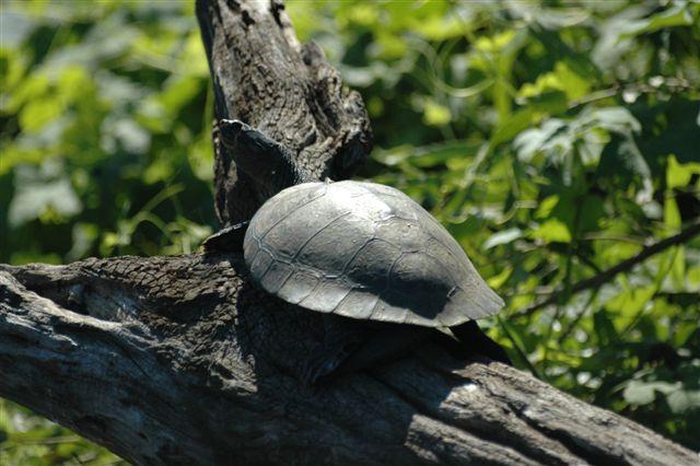 DSC_1842.jpg