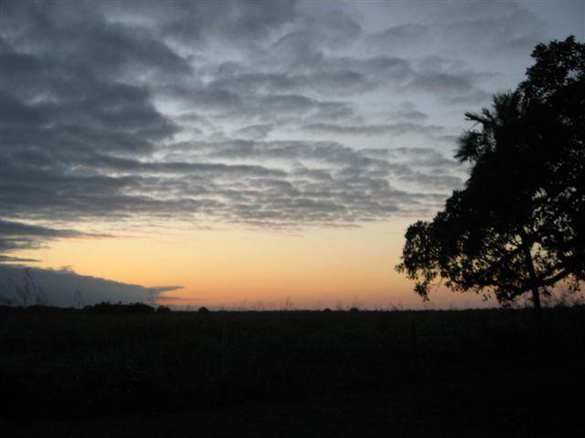 IMG_0125.jpg