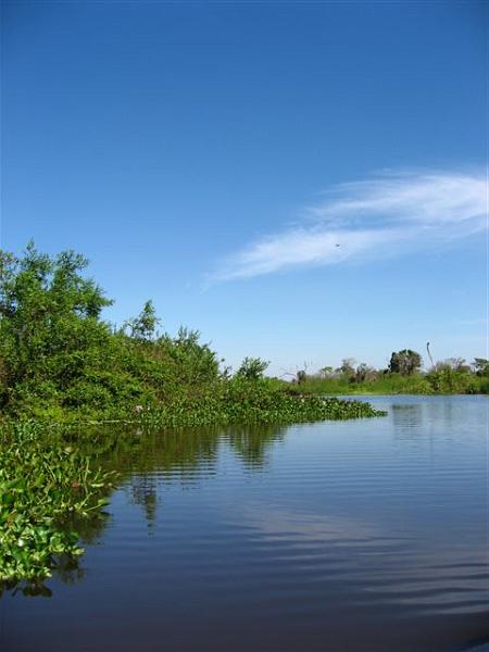 IMG_0278.jpg