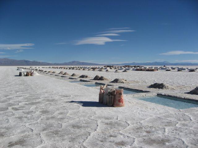 DSC_0742.JPG